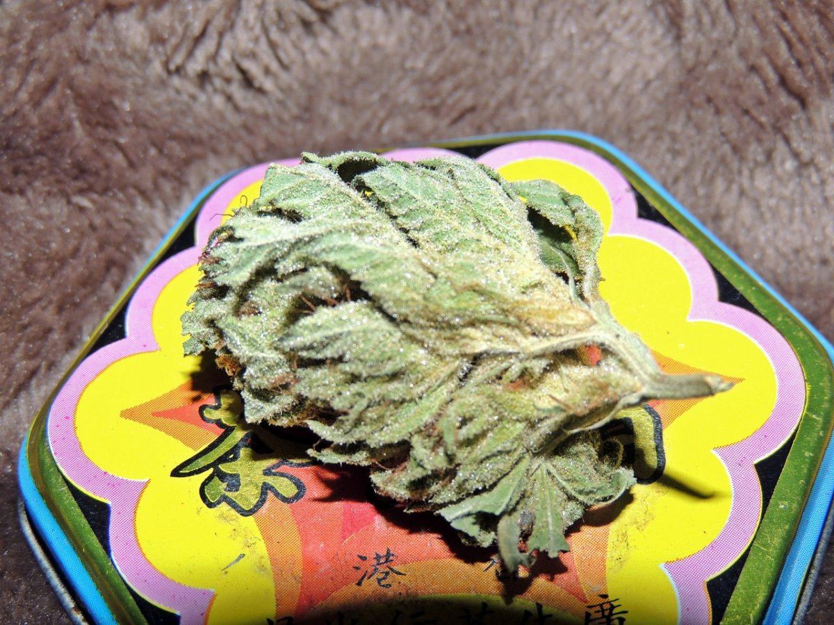 DSCN2283