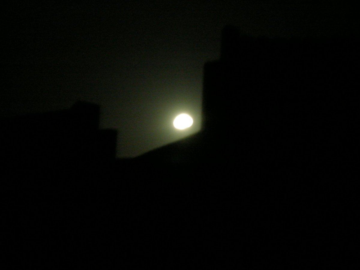 DSCN2467