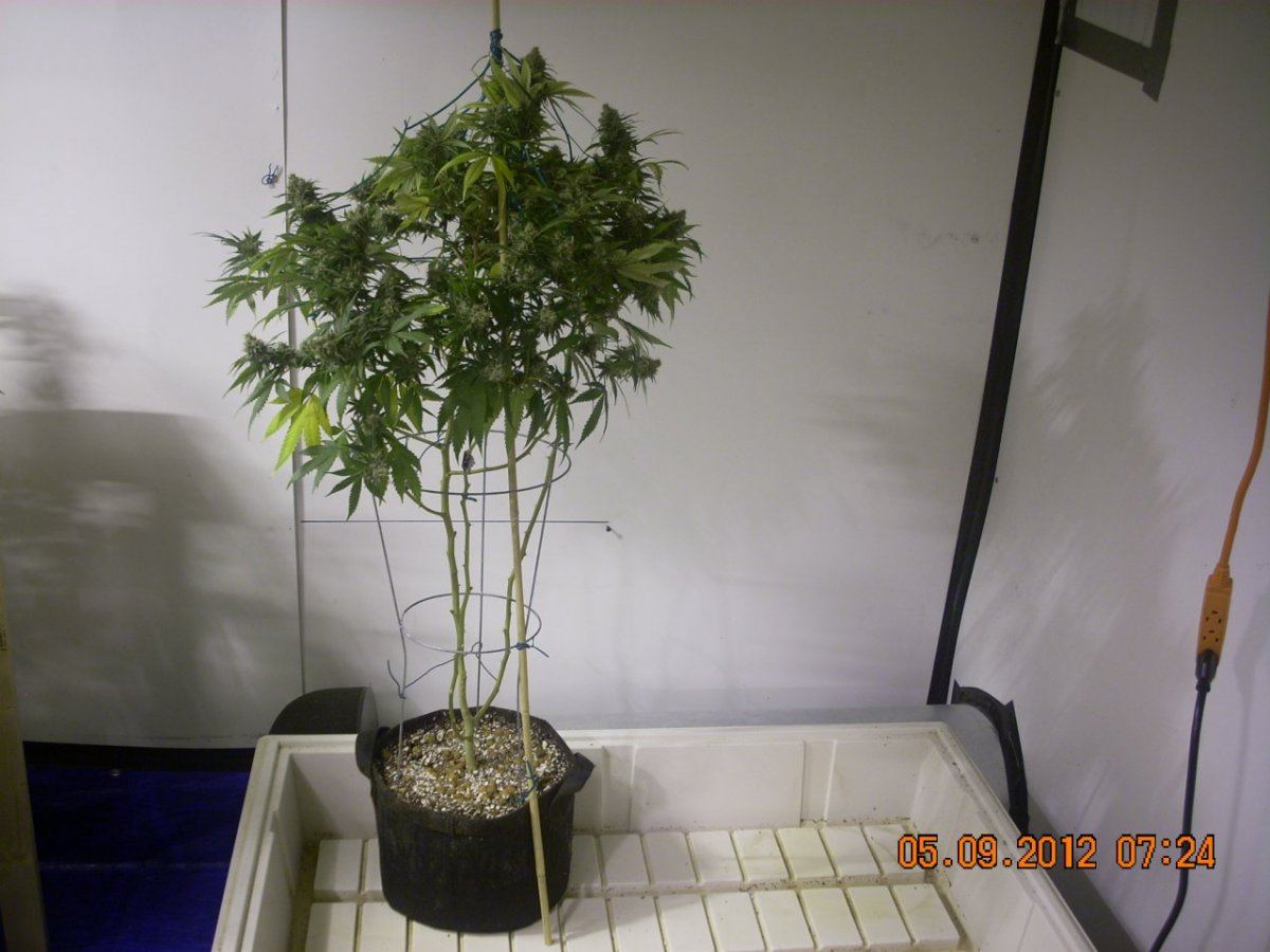 DSCN2517