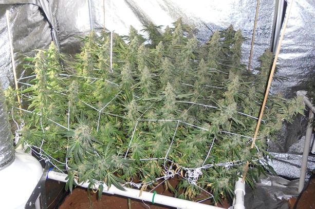 DSCN2826