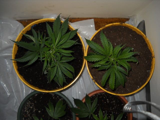DSCN2876
