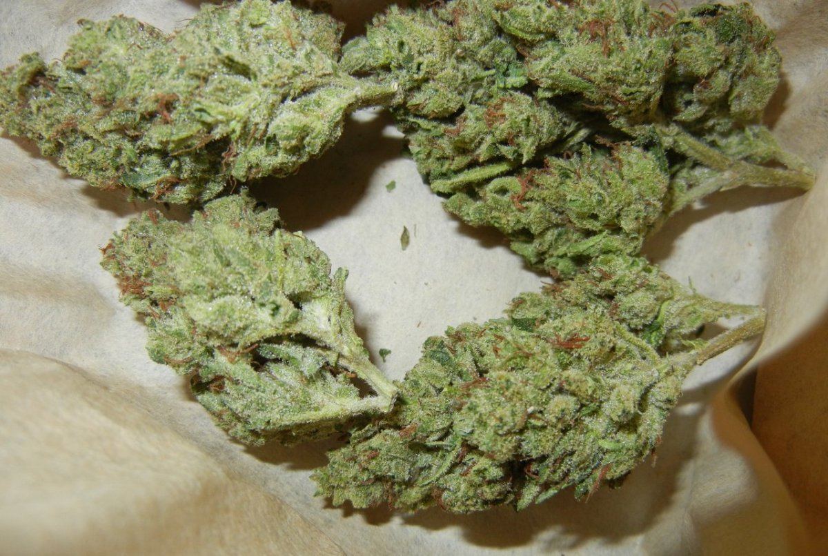 DSCN2977