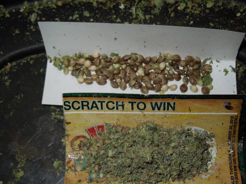 DSCN3366