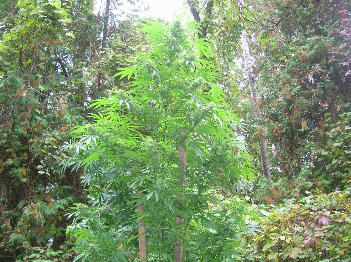 DSCN3575