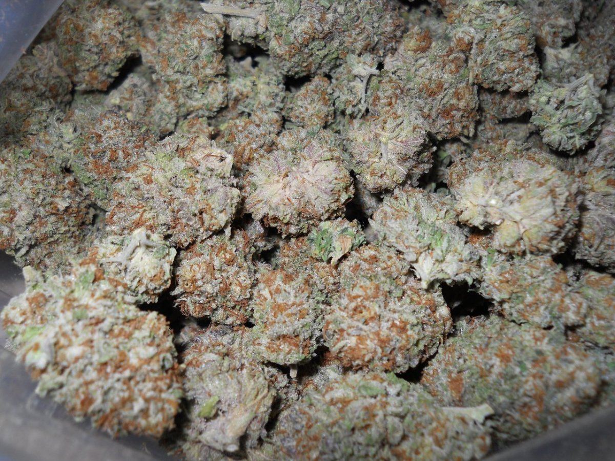 DSCN3704