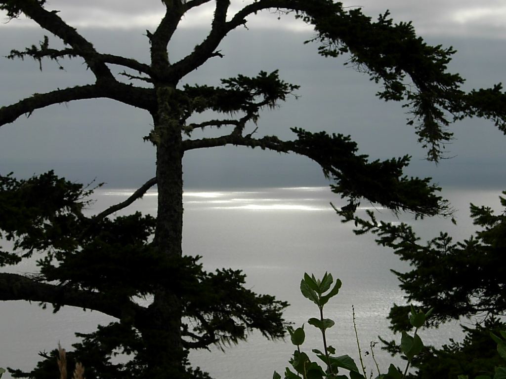 DSCN3827