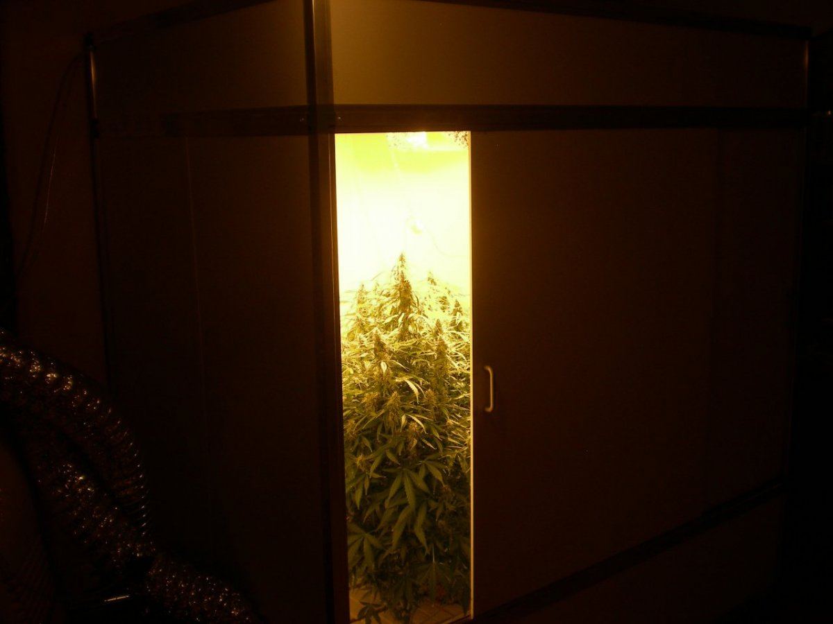 DSCN4537