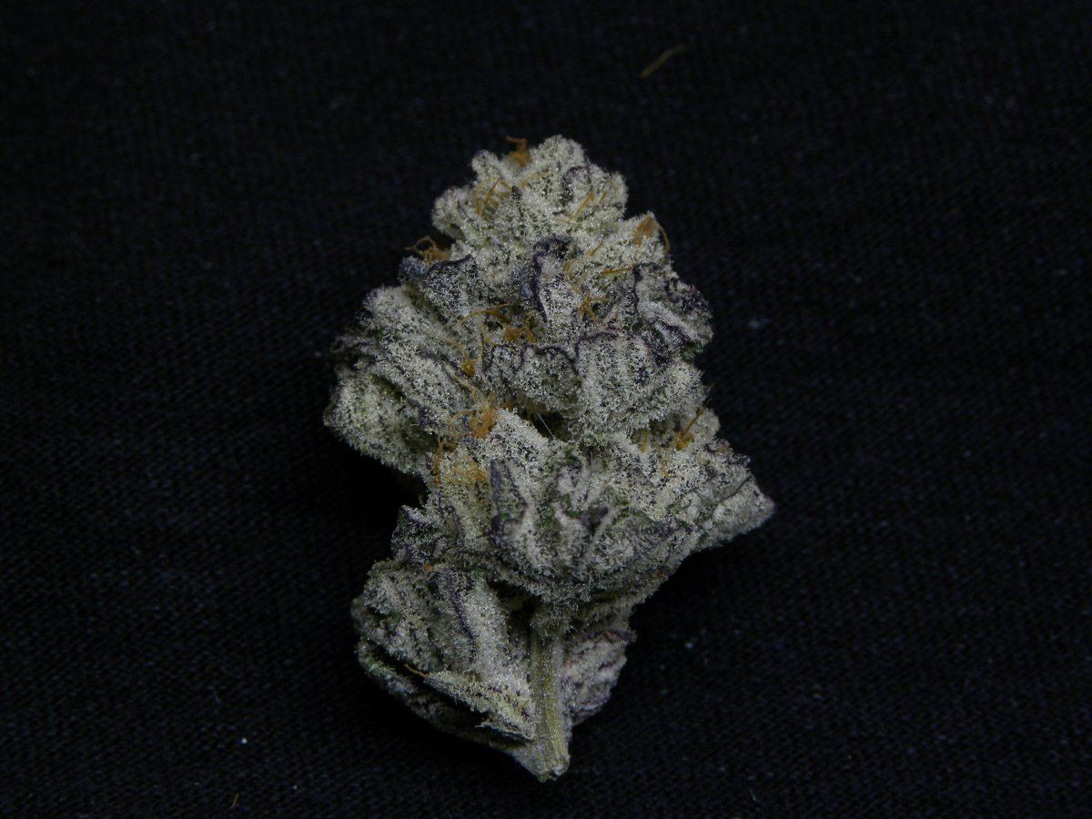 DSCN4547 3500 x 2625