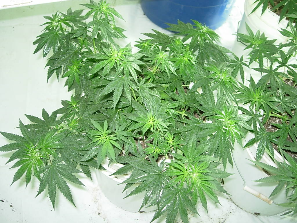 DSCN4758