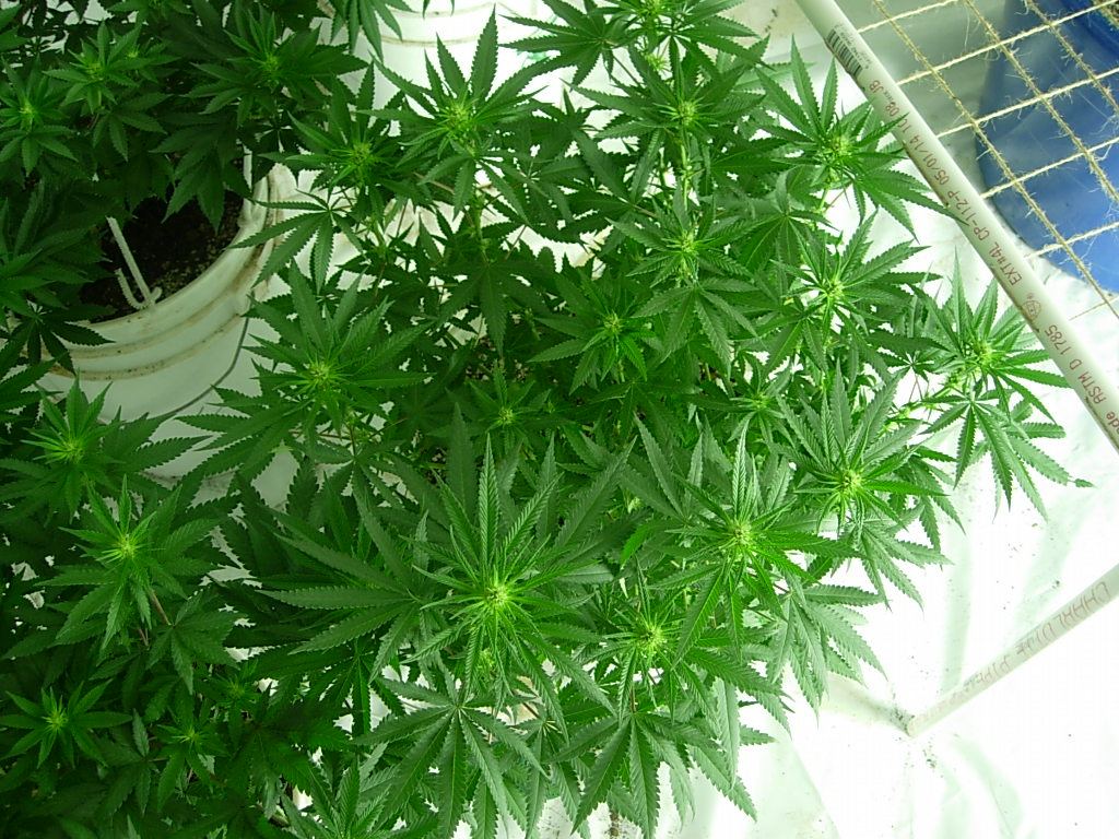 DSCN4826