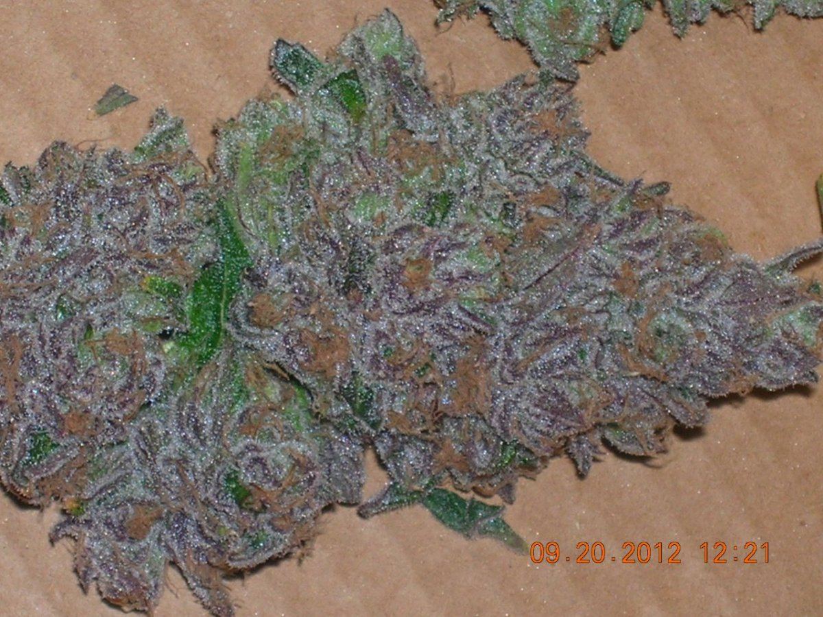 DSCN5650