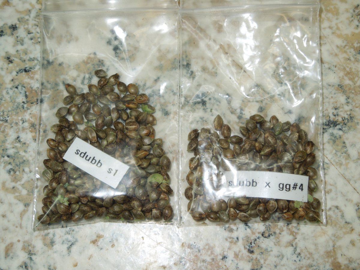 DSCN5830