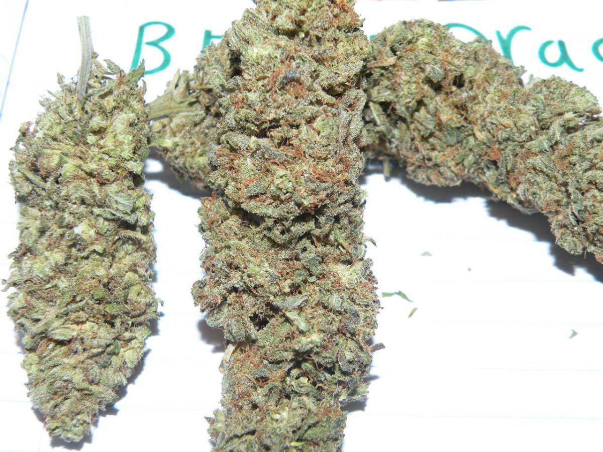 DSCN6356