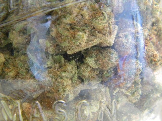 DSCN6665