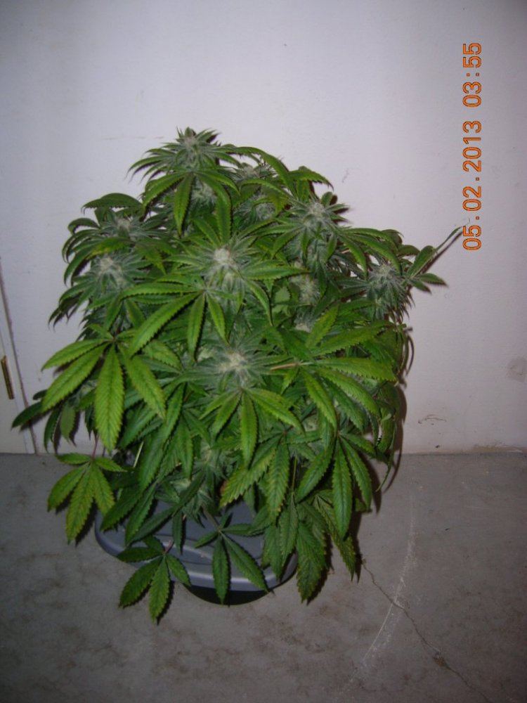 DSCN6840