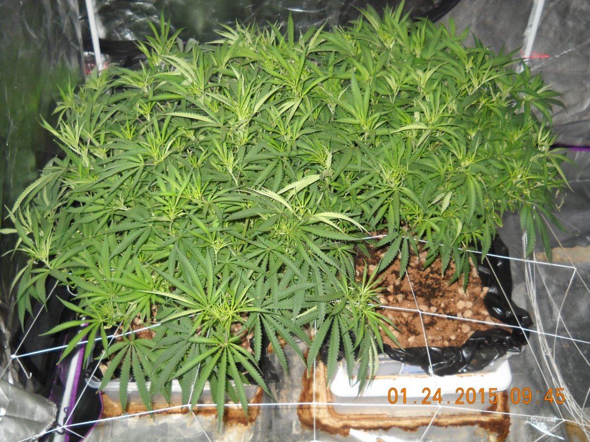 DSCN6901