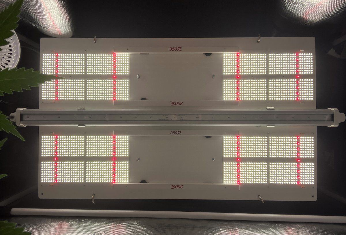 Dual 350R