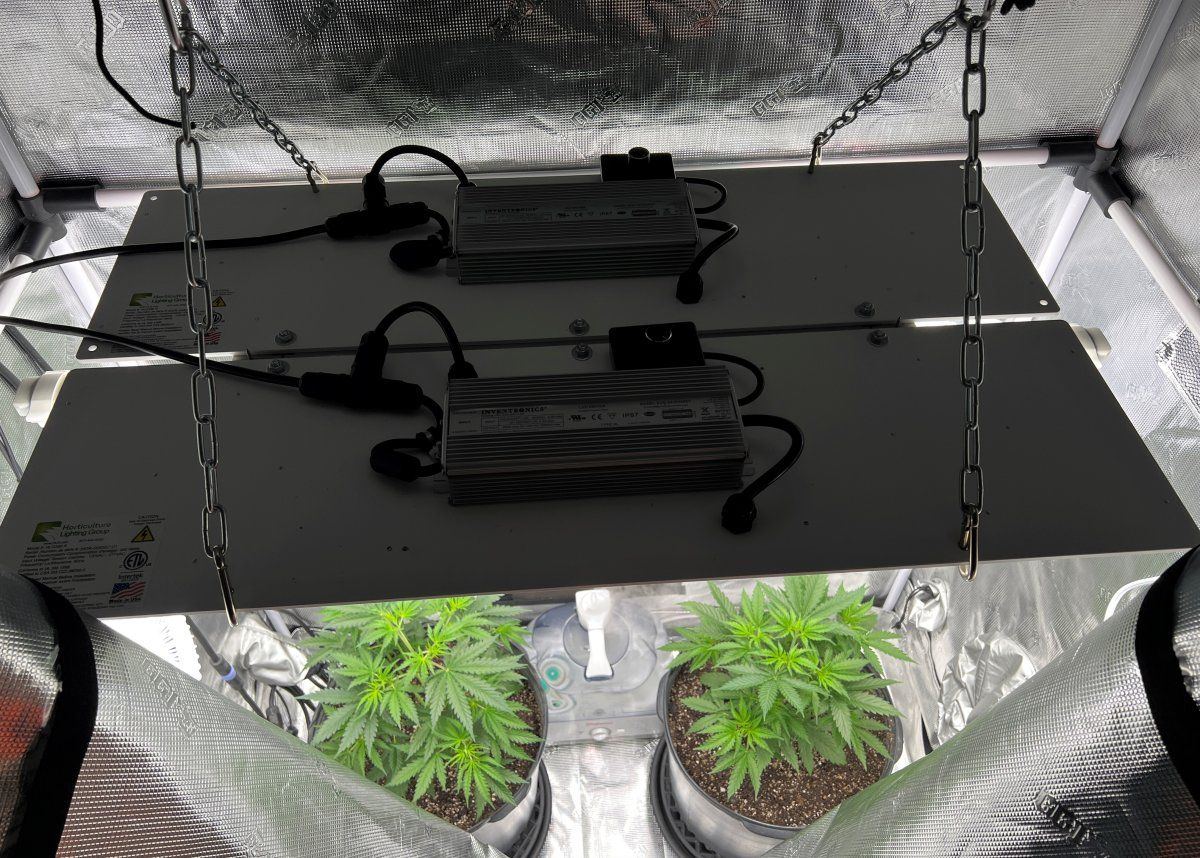 Dual 350R1