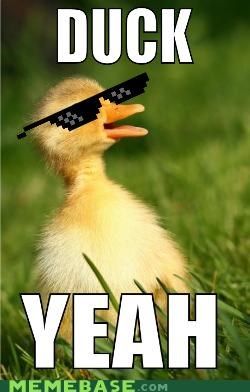 Duck yeah