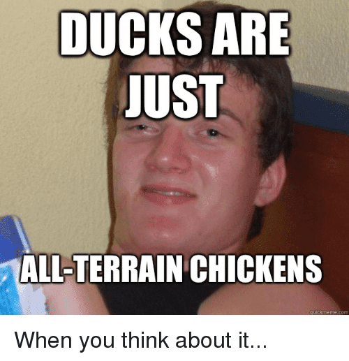 Ducks are just all terrain chickens quick meme com when 2514147