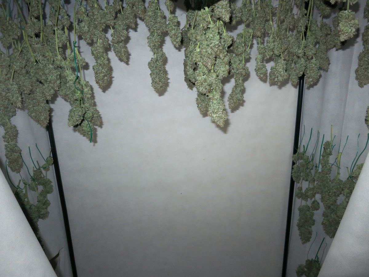 DURBSNOWTOWN sf