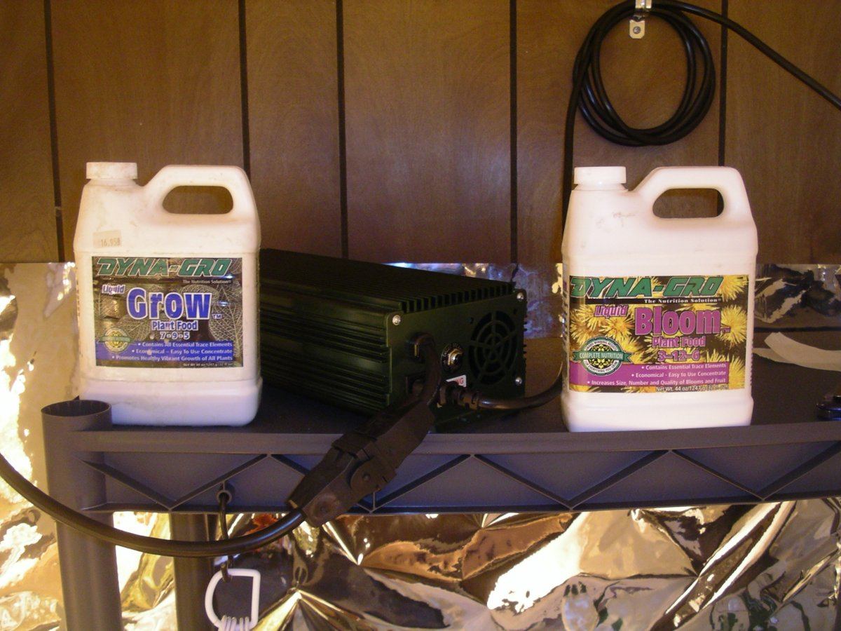 Dyno gro nuts
