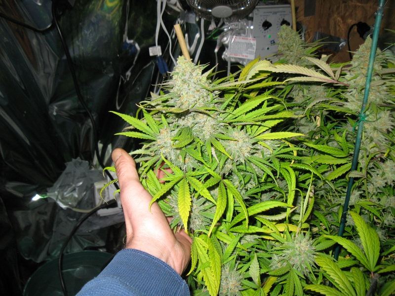 E jack  2 25 12 007