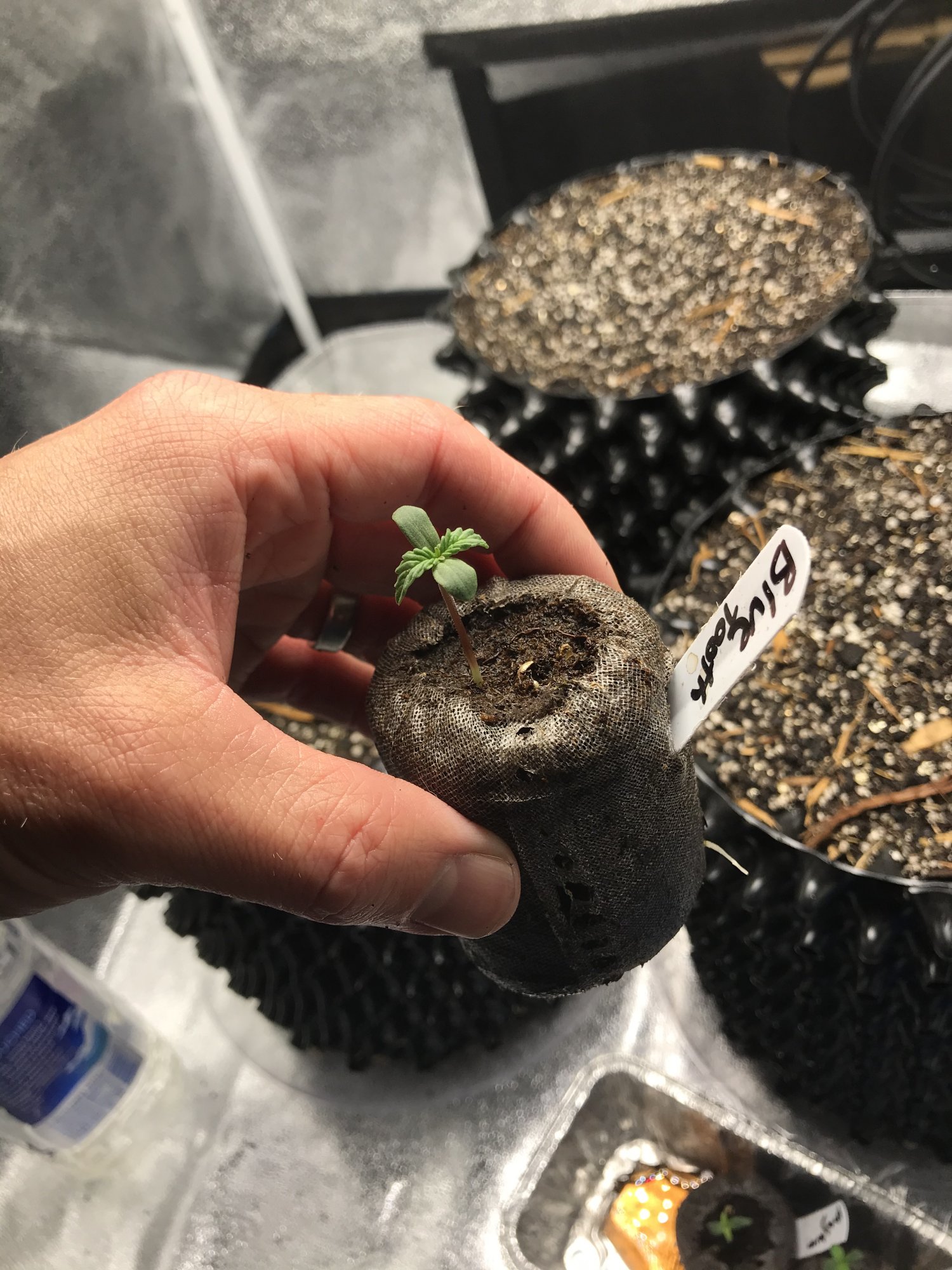 E6FACC49 E509 4A4E BC5B ABC3FB0AACD9