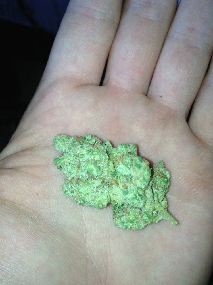 Earth OG