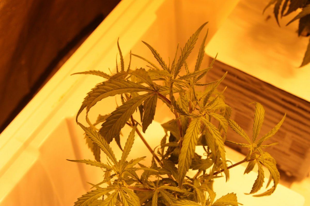 Ebb and flow causing problems please help 5