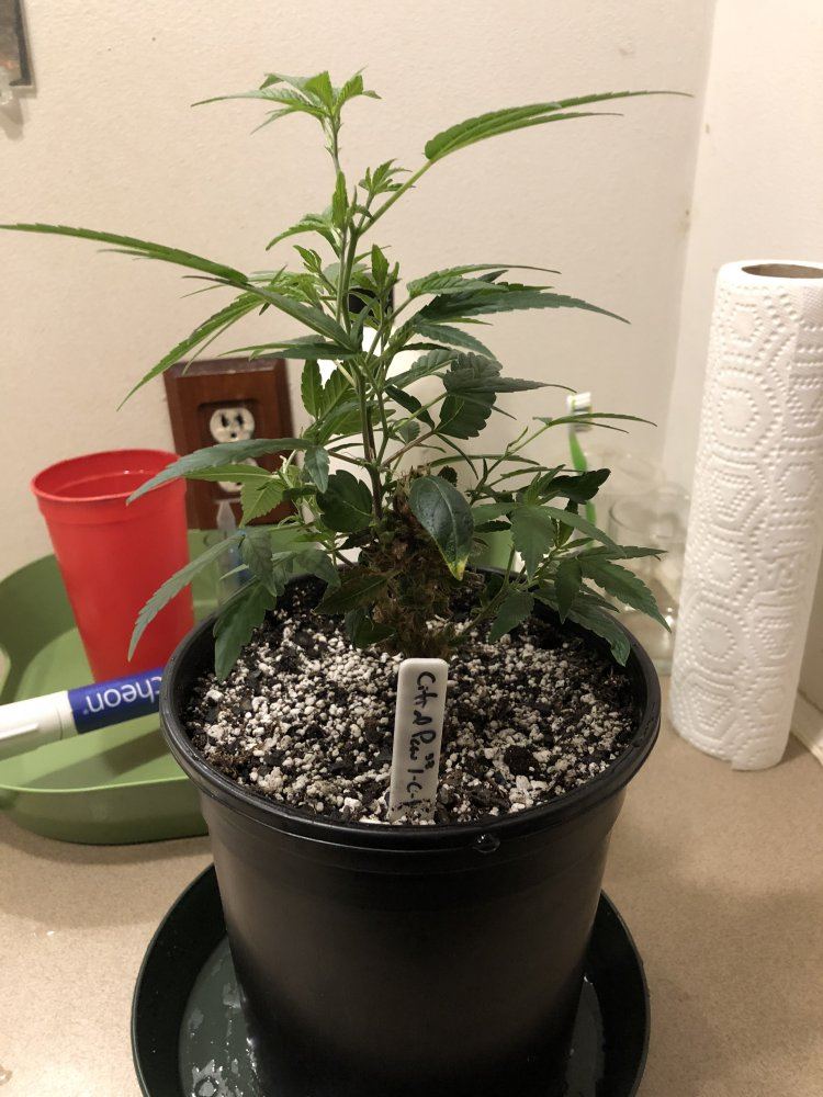 EC0B4F46 3C85 4049 A571 6204FB1E9426