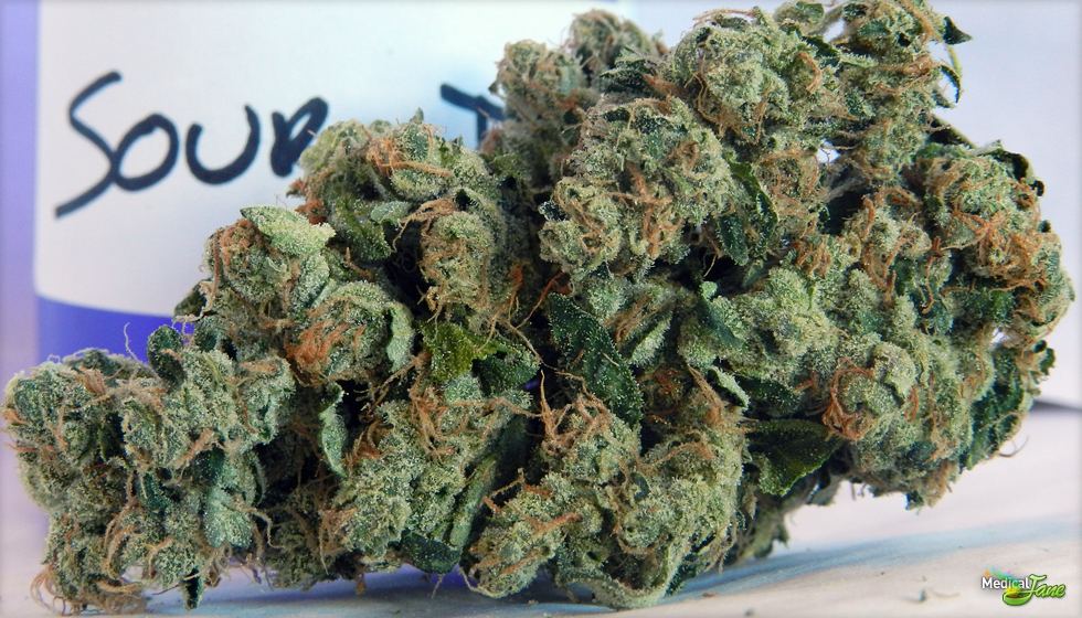 Ecsd nug