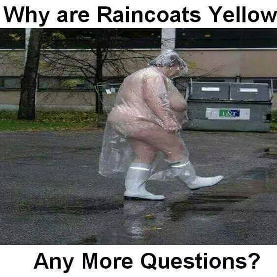 Eeewfatcow
