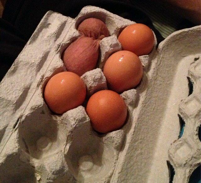 Egssnballs
