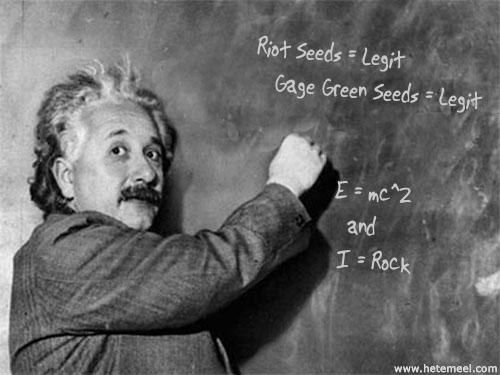 Einsteinshow