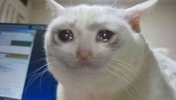 EINu5iNXYAAkaoD