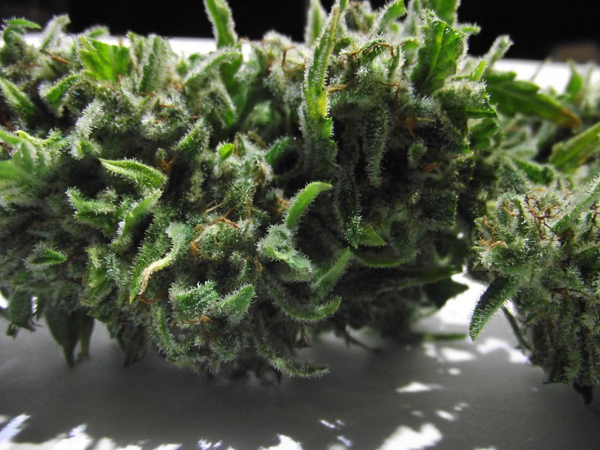 Electric lemon larry 10