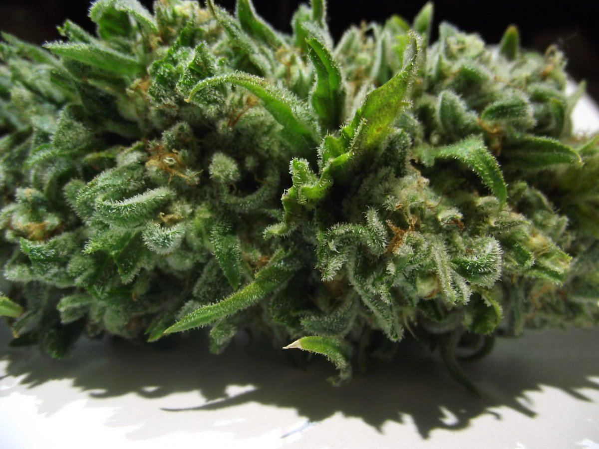 Electric lemon larry 14