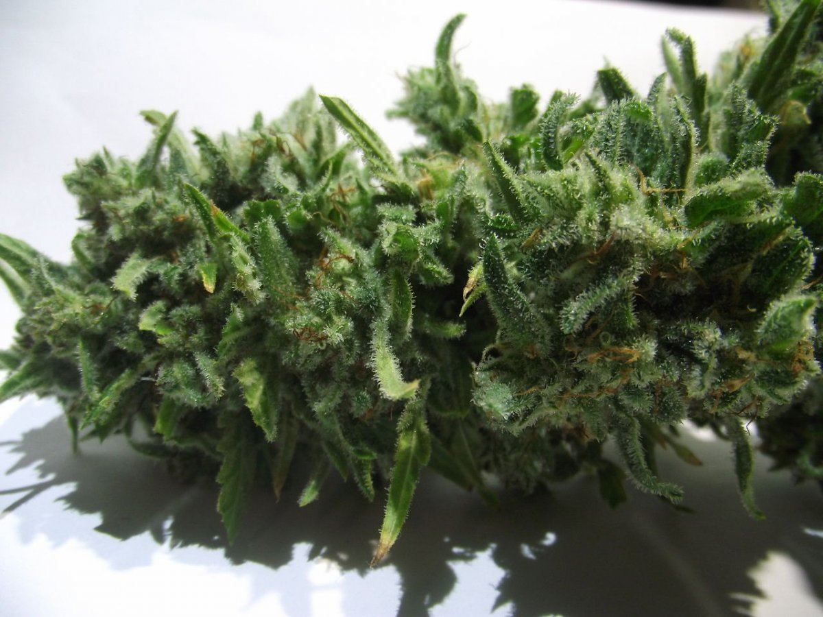 Electric lemon larry 7
