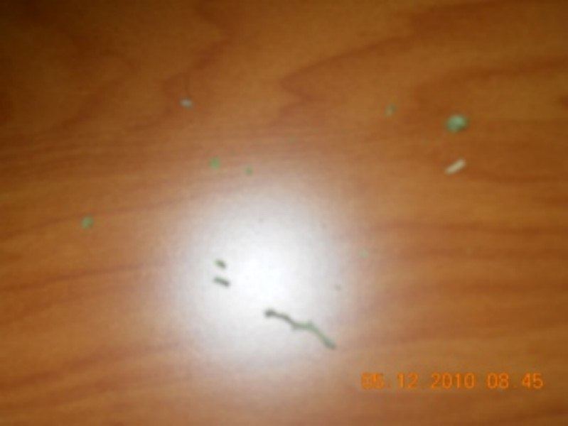 Evidence 800x600