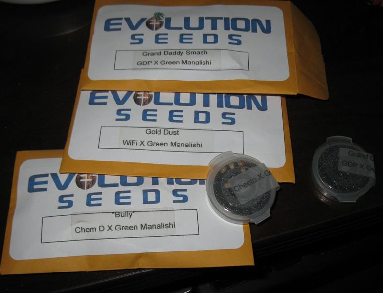 Evo beans 005