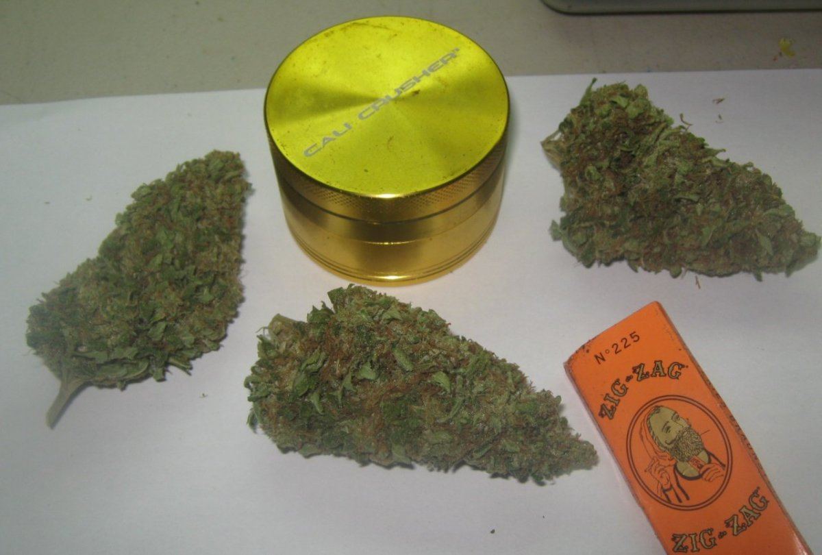 Ewoksbudsofthemonth