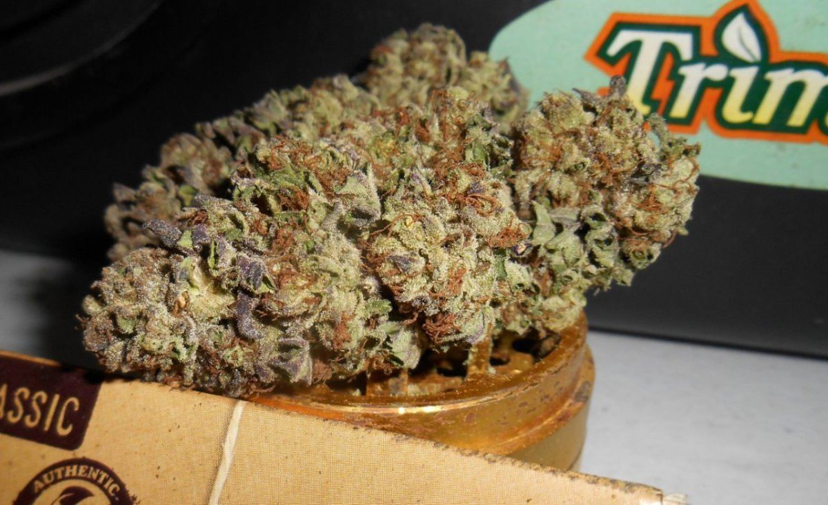 Ewookie7nugs