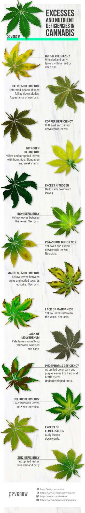 Excesses nutrient deficiencies cannabis