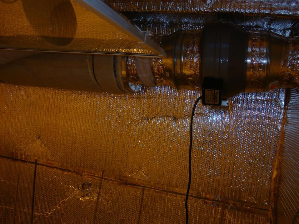 Exhaust