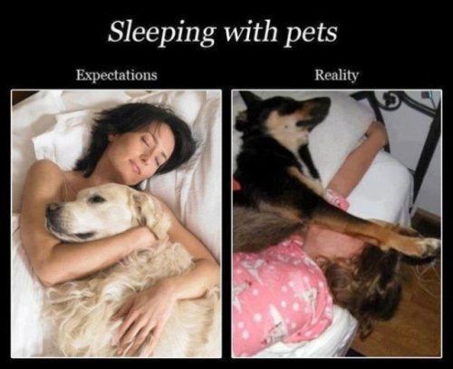 Expectations versus reality 0