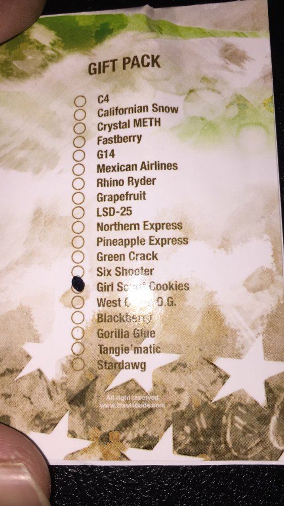 Experience with lemon cake anyone 3