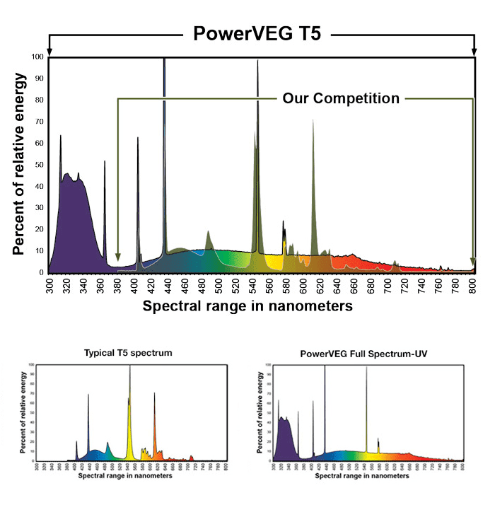 Eye powerveg1