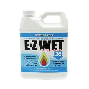 Ez wet