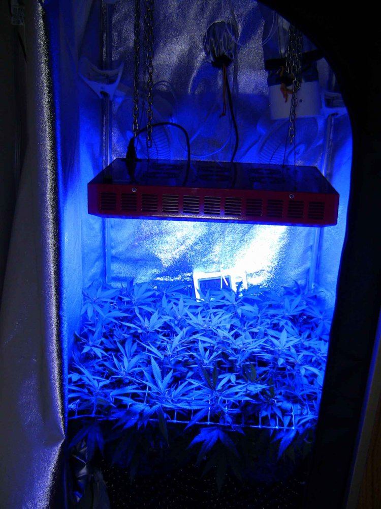 F104